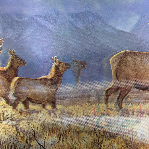 Magien ved 3D Lenticular Printing: Hvordan det virker, og hvorfor det vinder popularitet