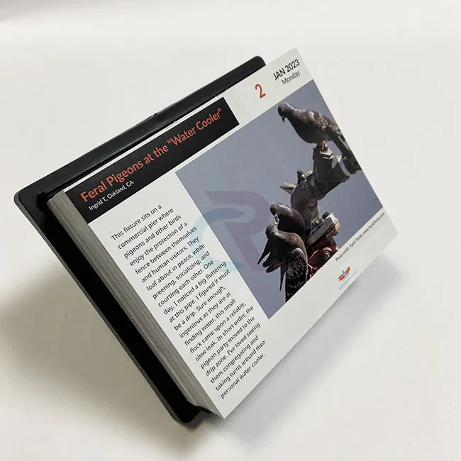 Hvordan kan brugerdefinerede designs inkorporeres i afrivningsside-om-dag-kalendere?